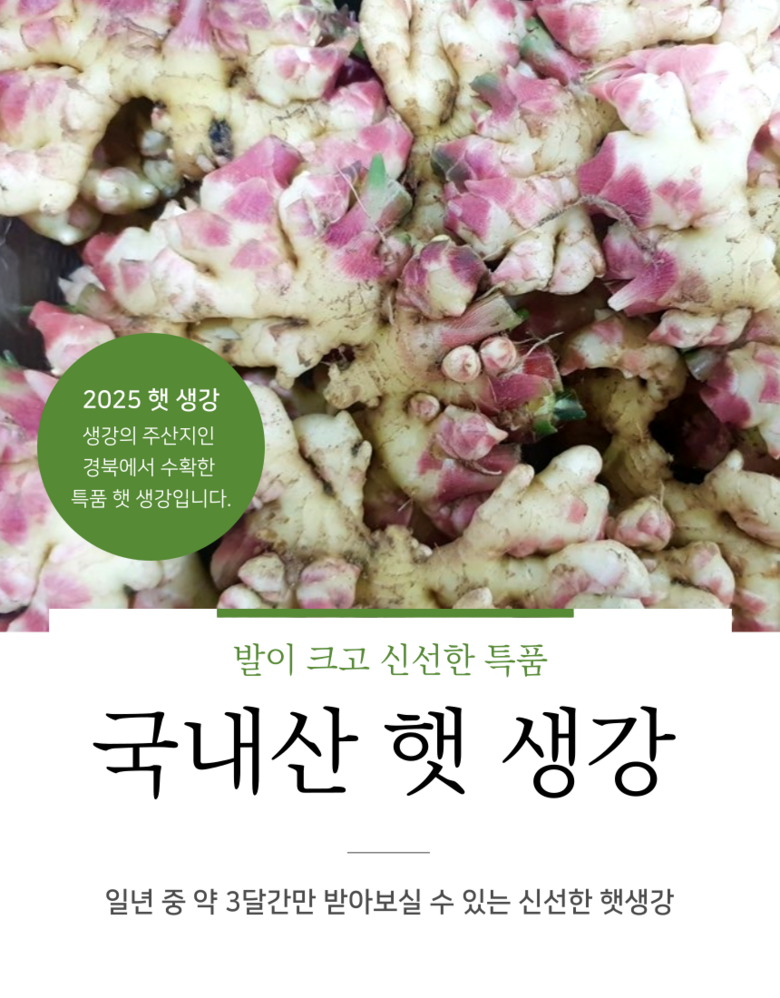 상품정보