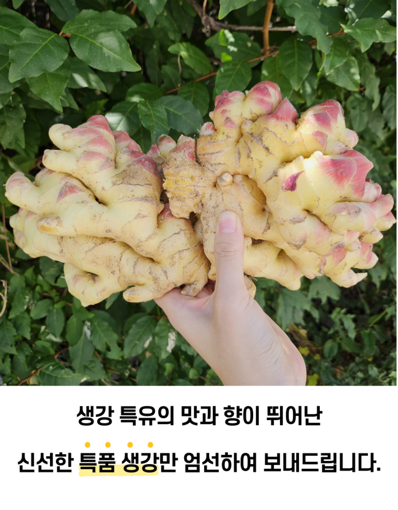 상품정보