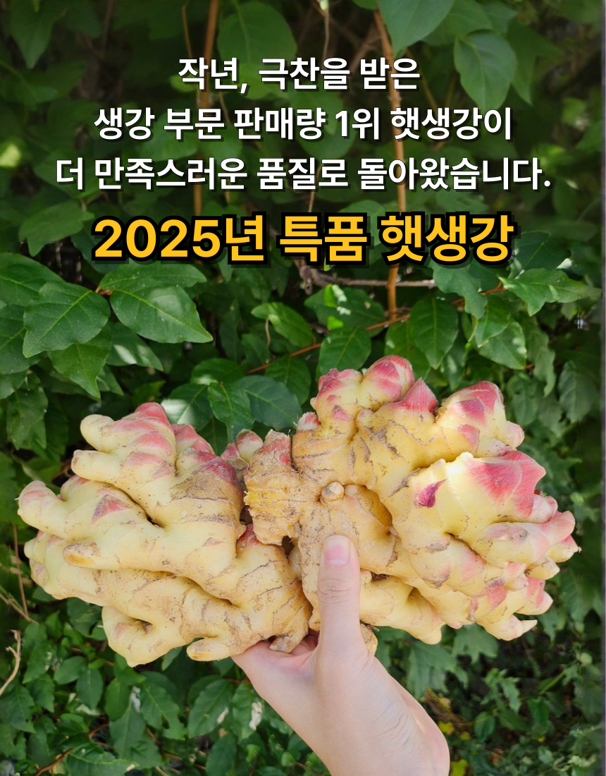 상품정보
