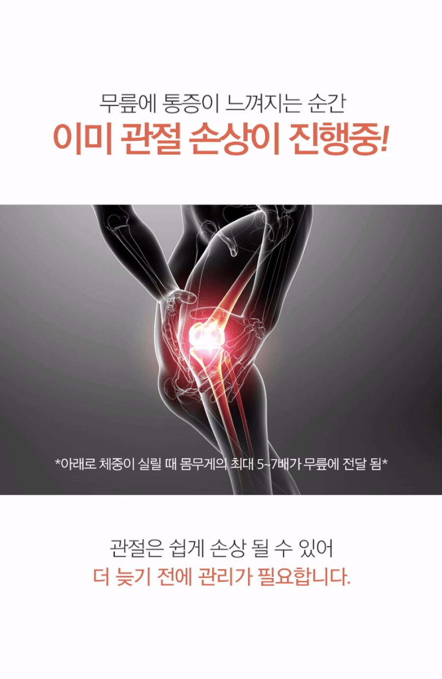 상품정보