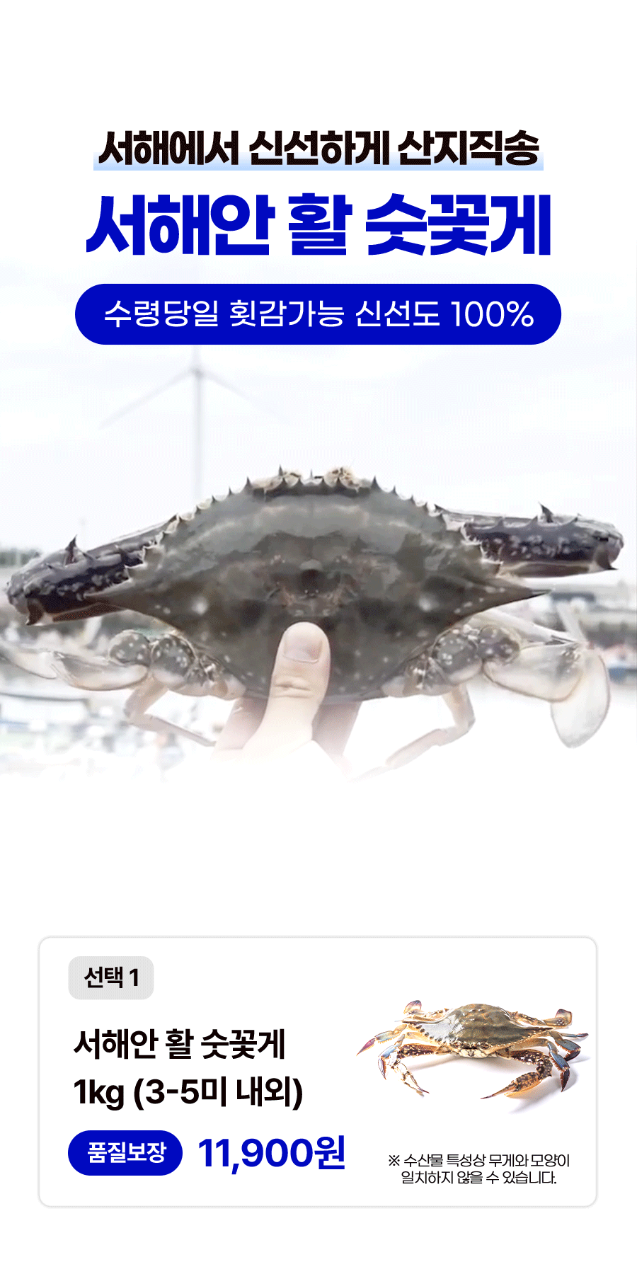 상품정보