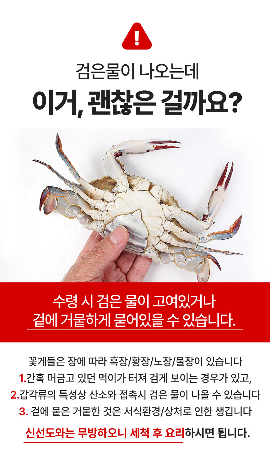 상품정보