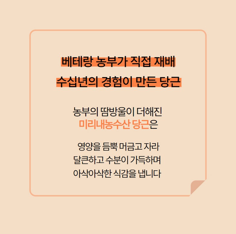 베테랑 농부가 직접 재배, 수십년의 경험이 만든 당근, 농부의 땀방울이 더해진 미리내 농수산 당근은 영양이 풍부하고 달큰하고 수분이 가득하며 아삭아삭한 식감