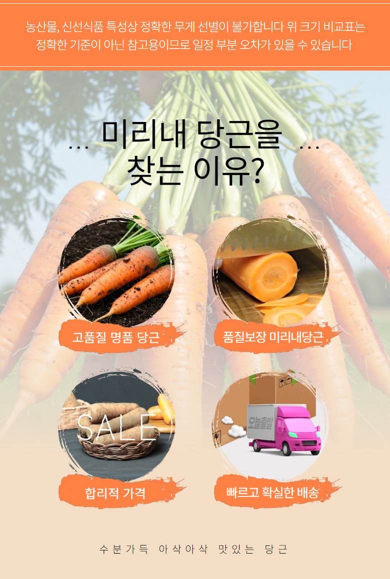 미리내 농수산 당근 특징 정리