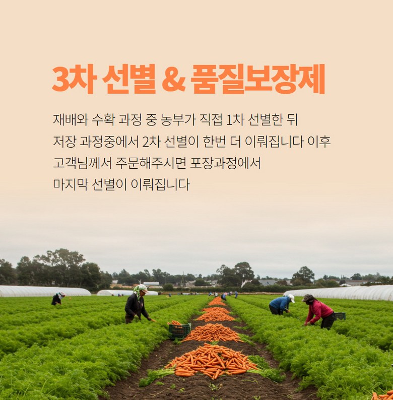 3차 선별과 품질 보장세 상세 설명