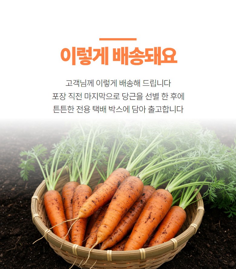 배송 모습 안내
