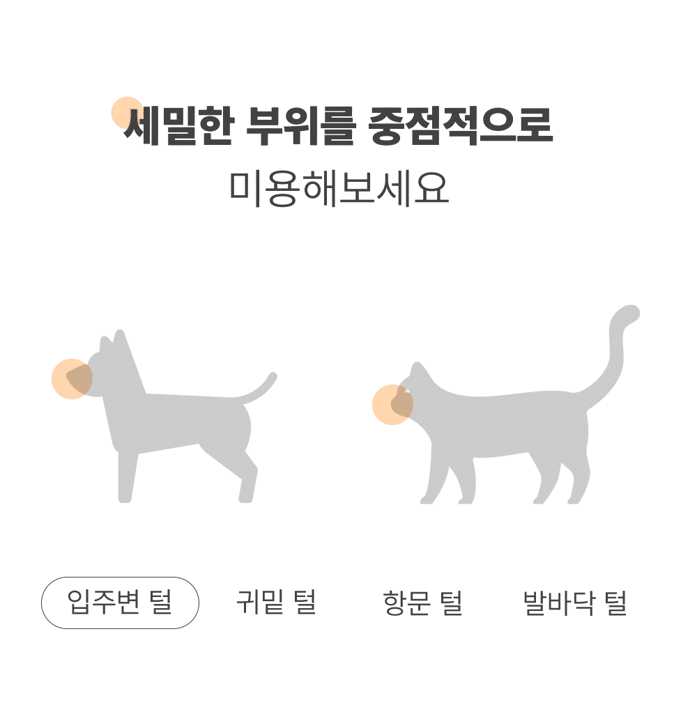 상품정보