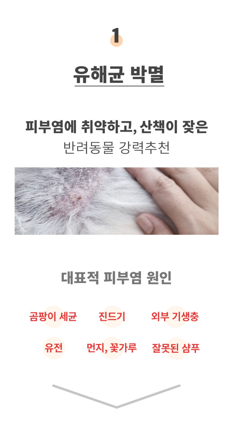 상품정보