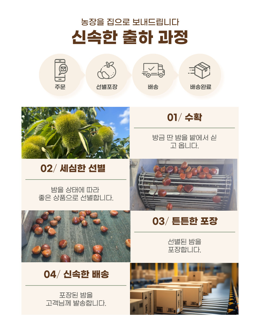 상품정보