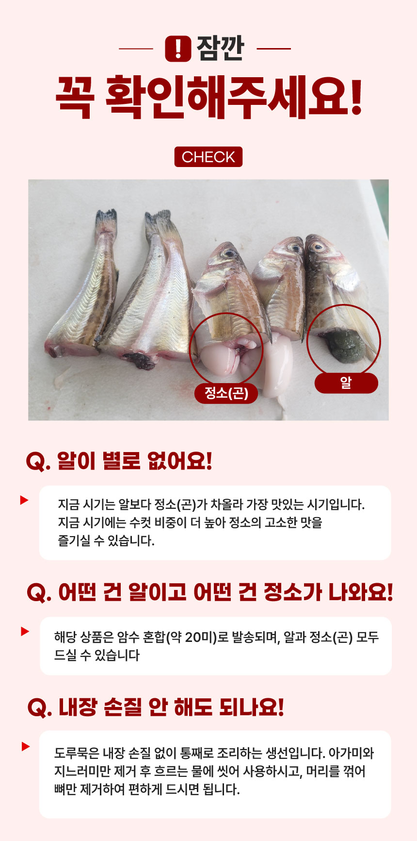 상품정보