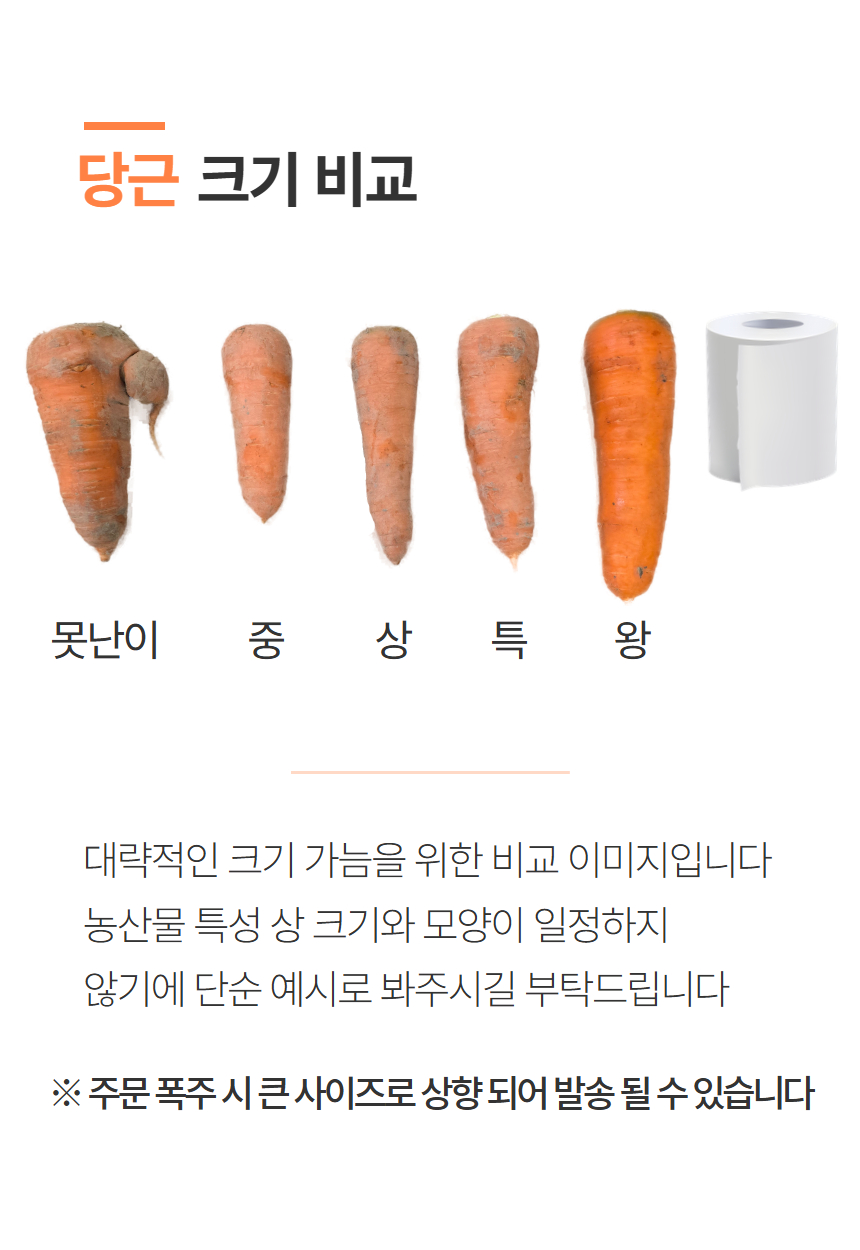 상품정보