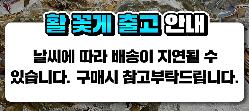 상품정보