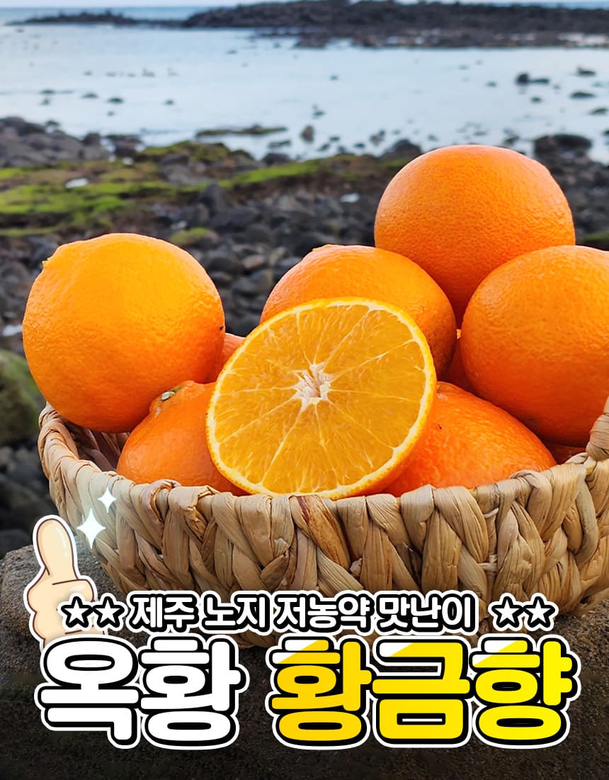 상품정보