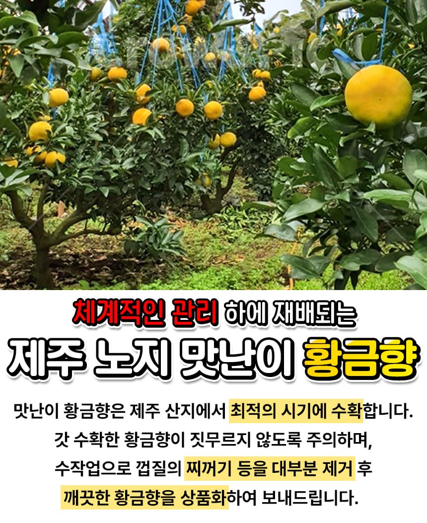 상품정보