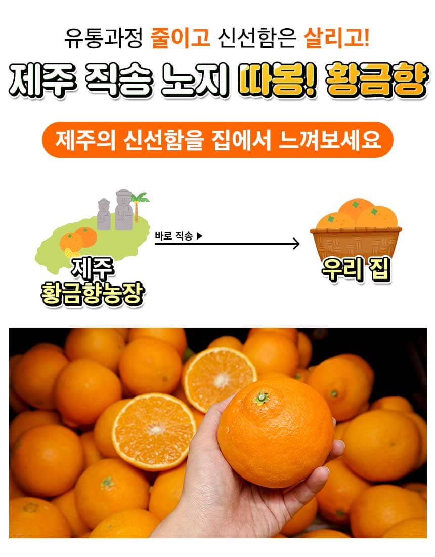 상품정보