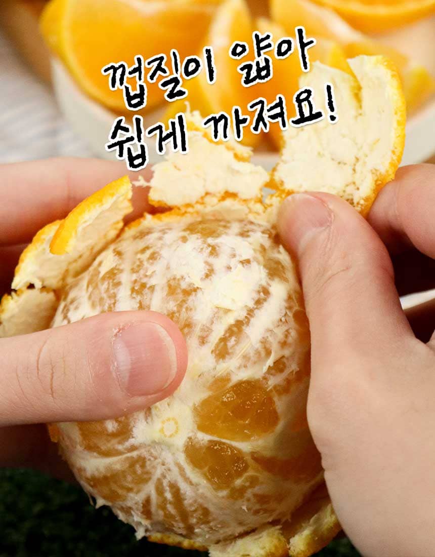 상품정보