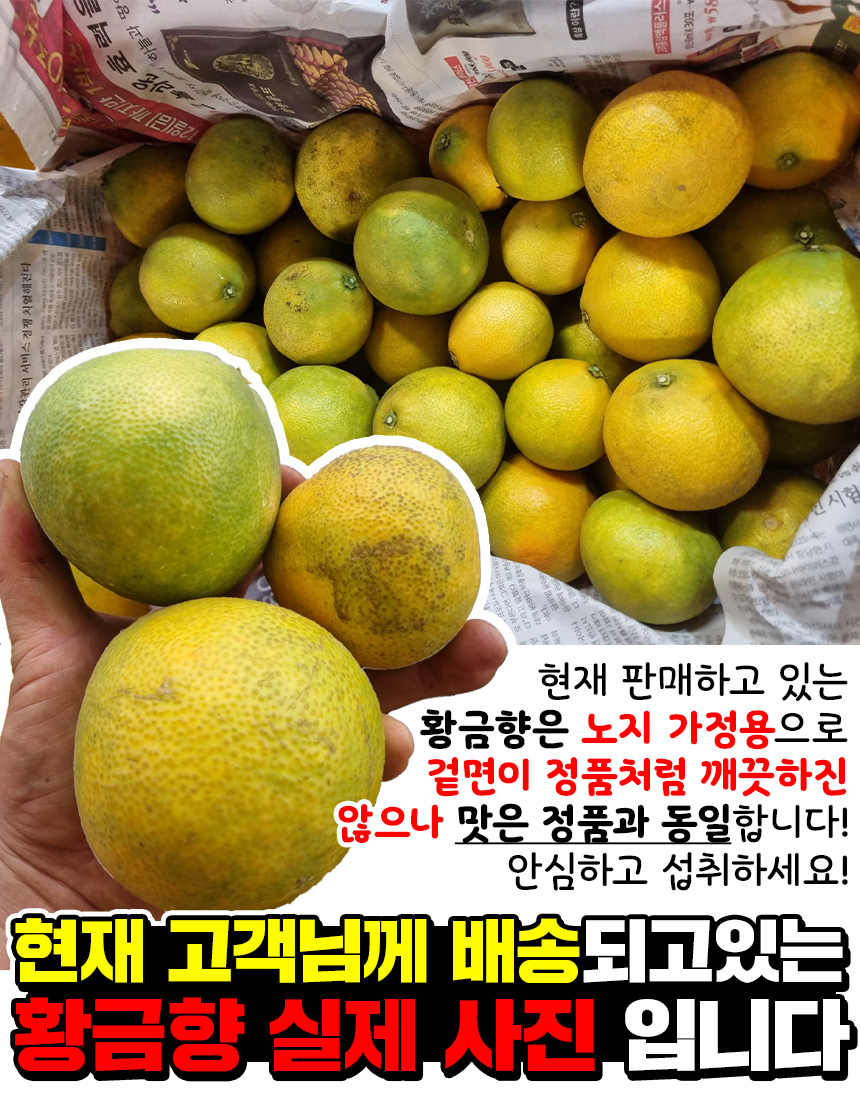 상품정보