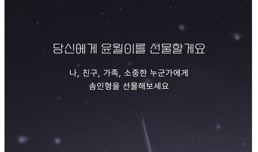 상품정보