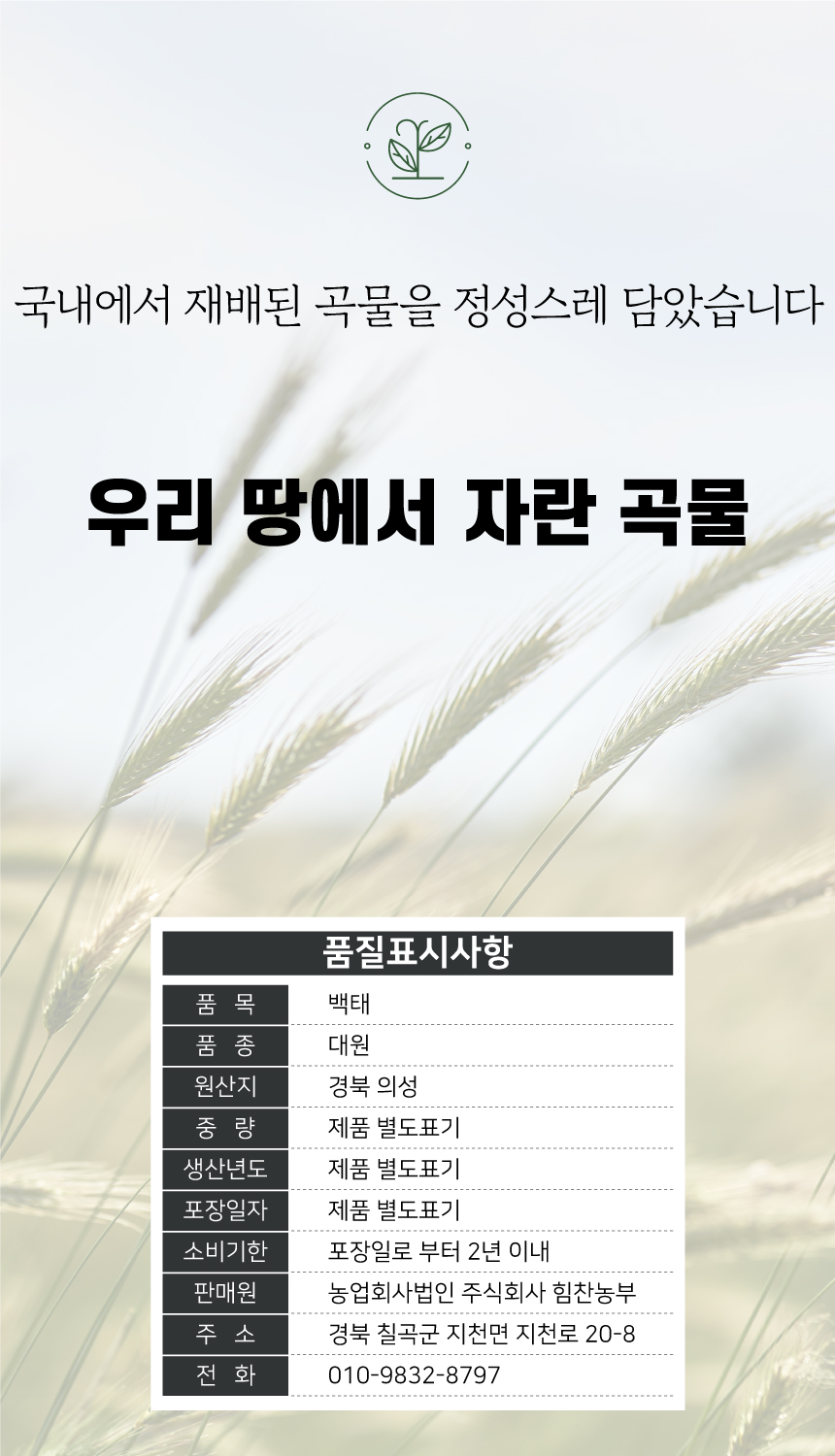 상품정보