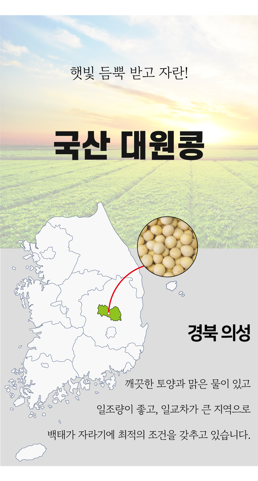 상품정보