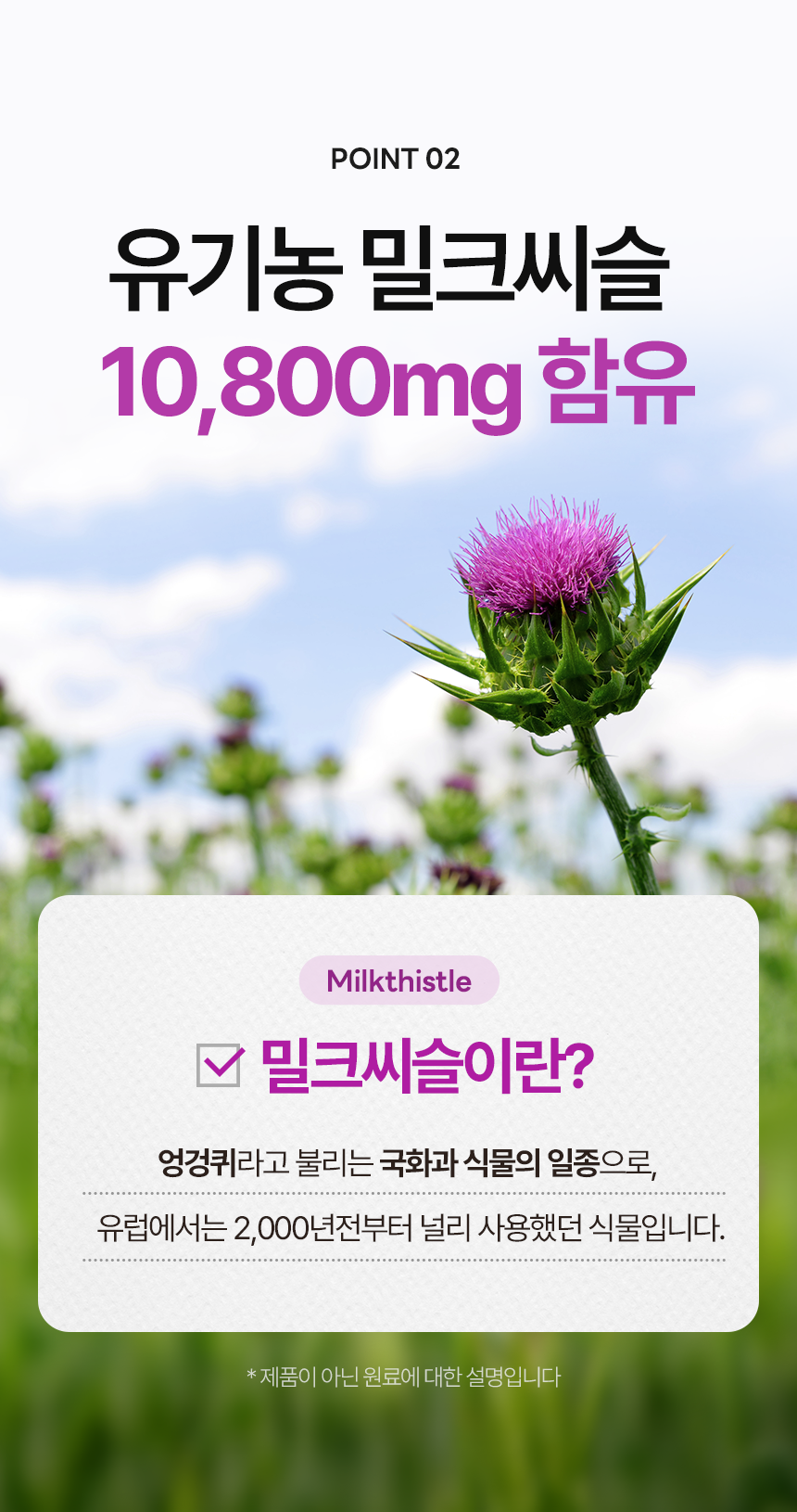 상품정보