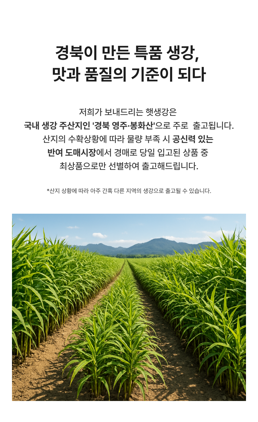 상품정보