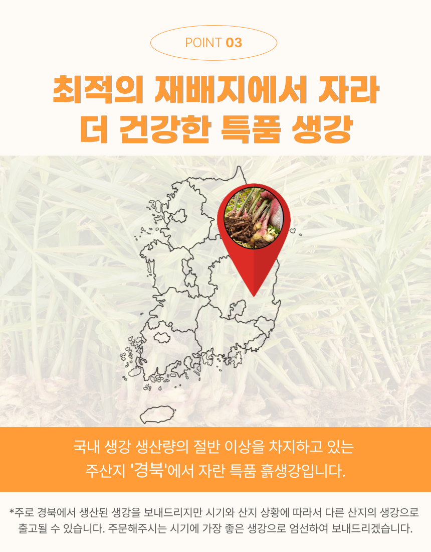상품정보