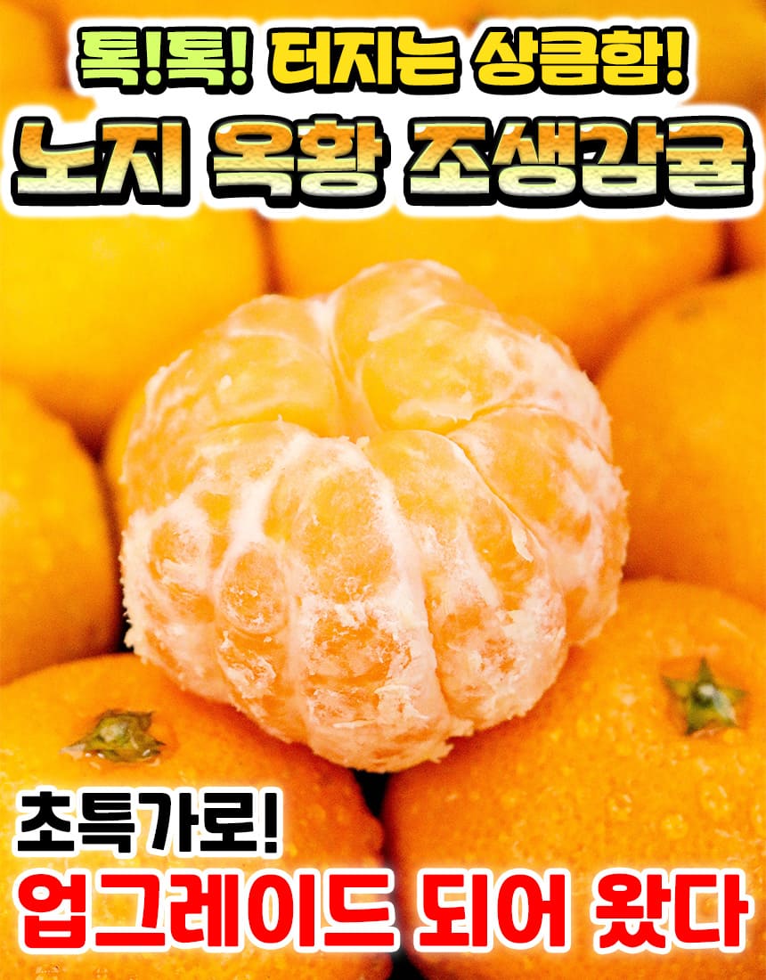 상품정보