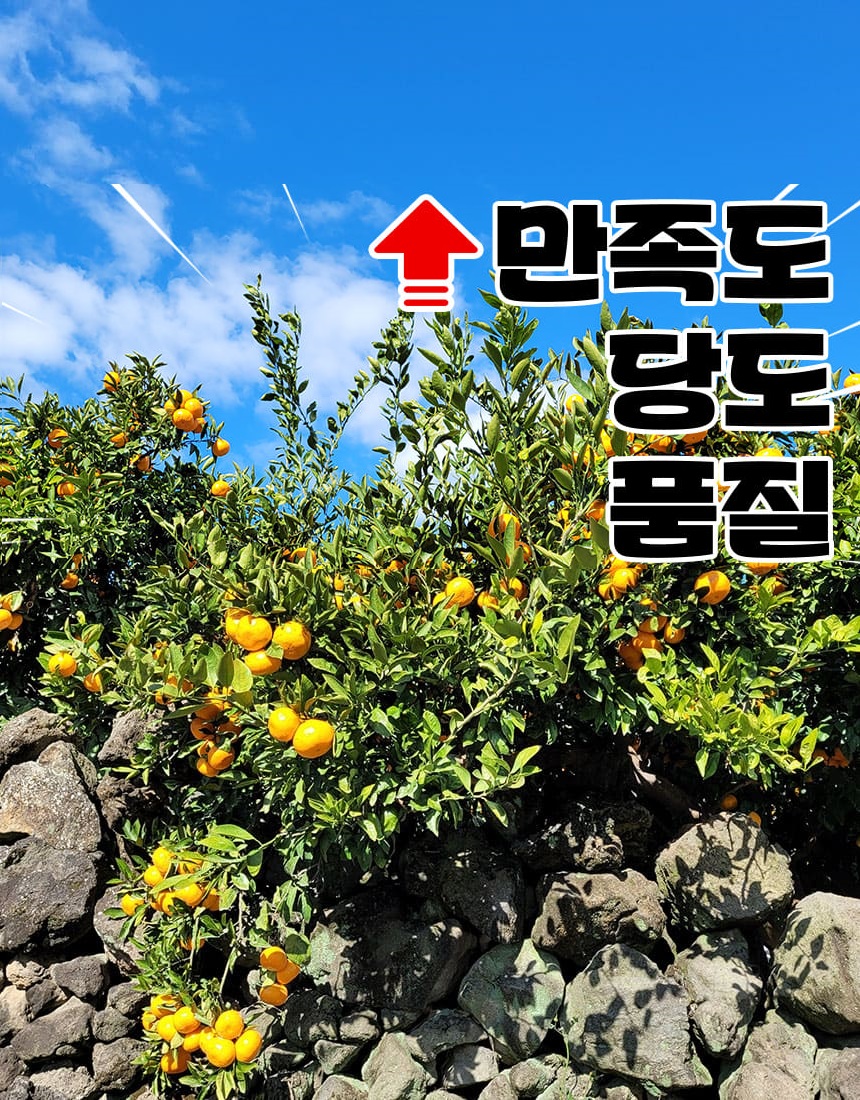 상품정보