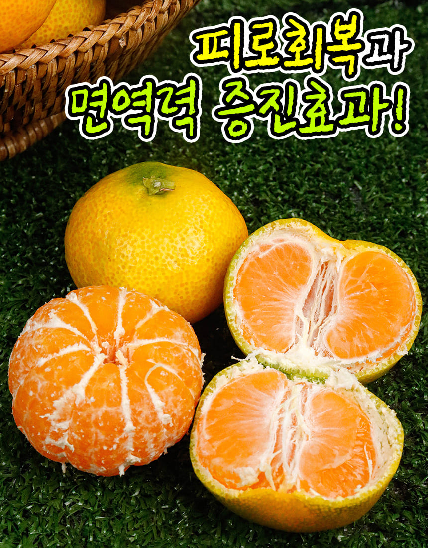상품정보