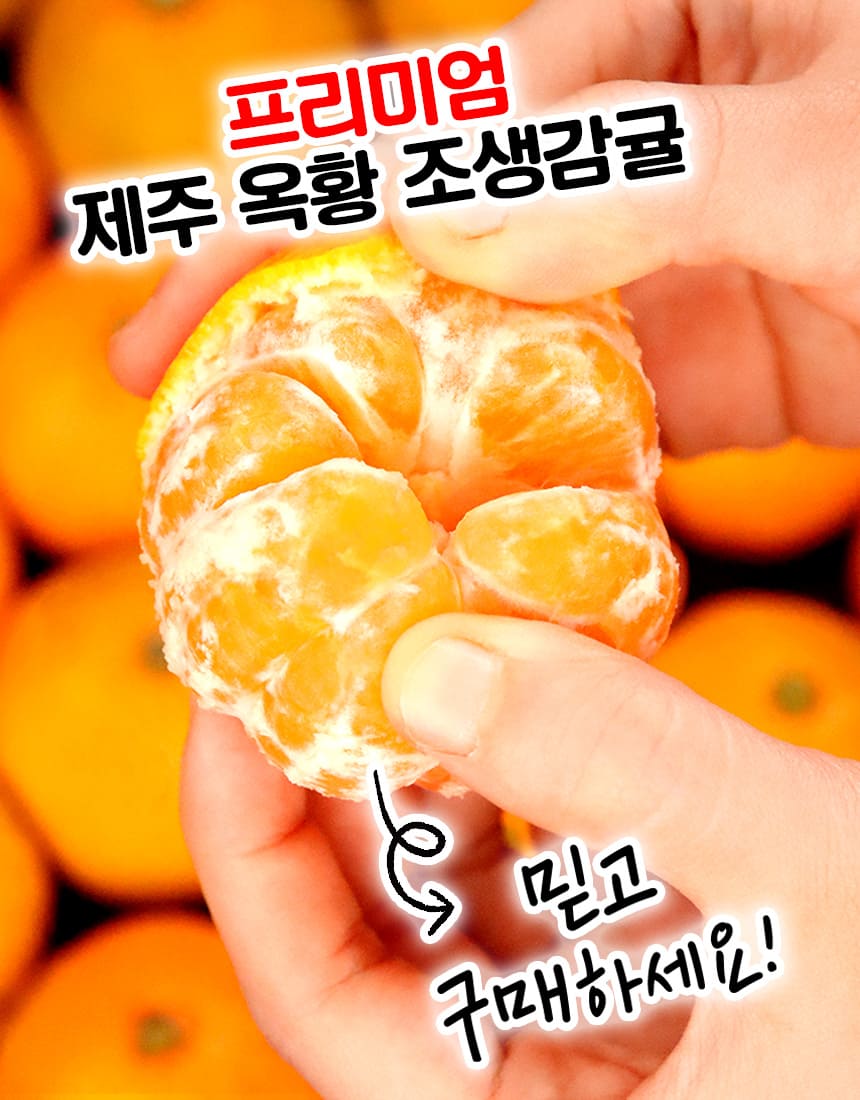 상품정보