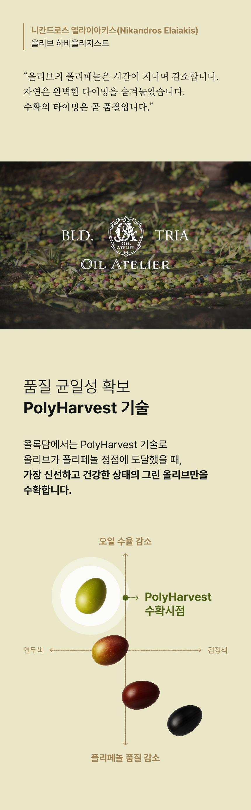 상품정보