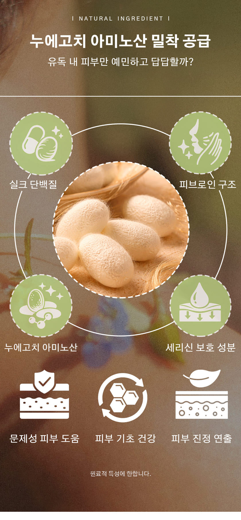 상품정보