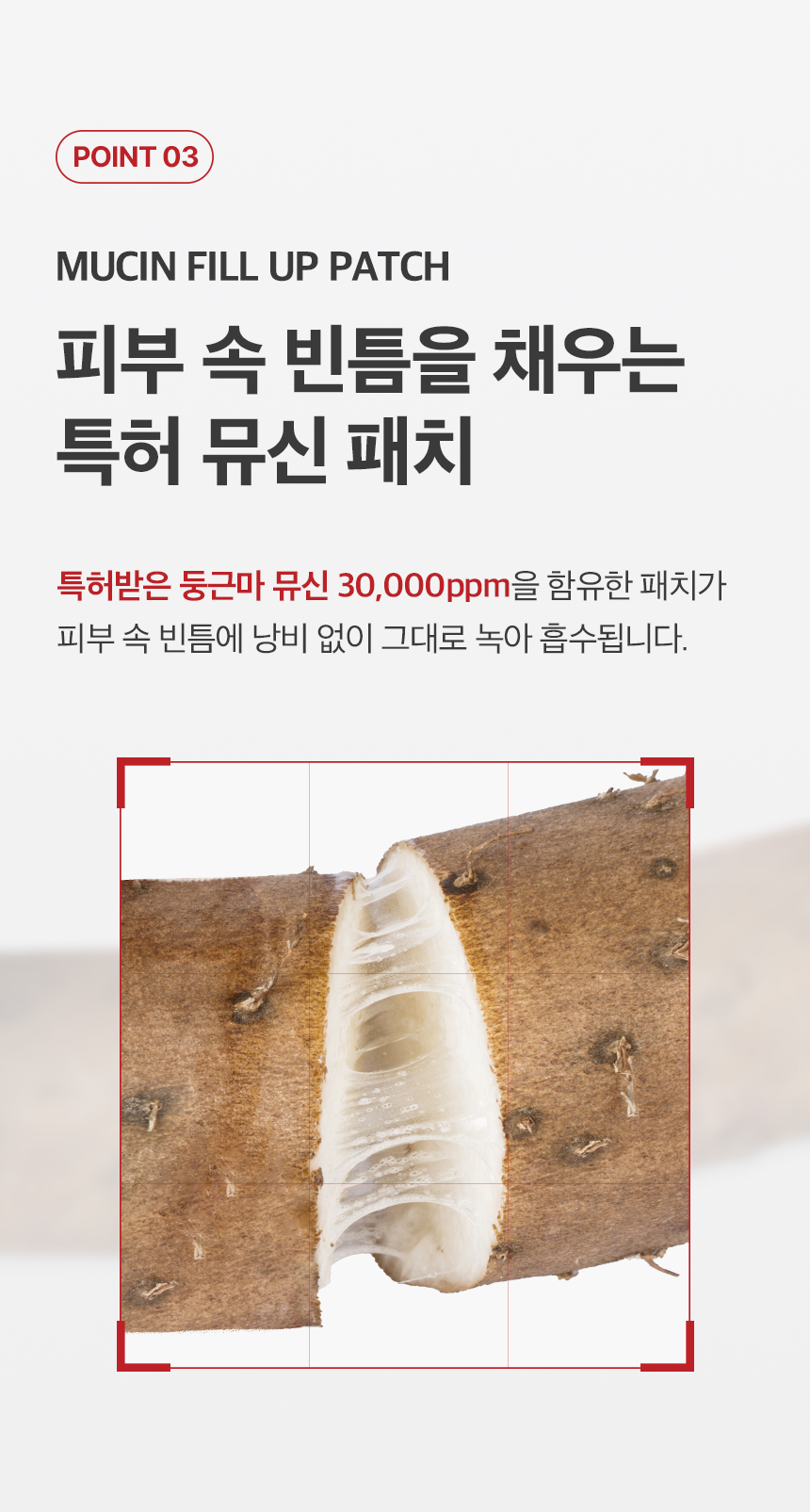 상품정보