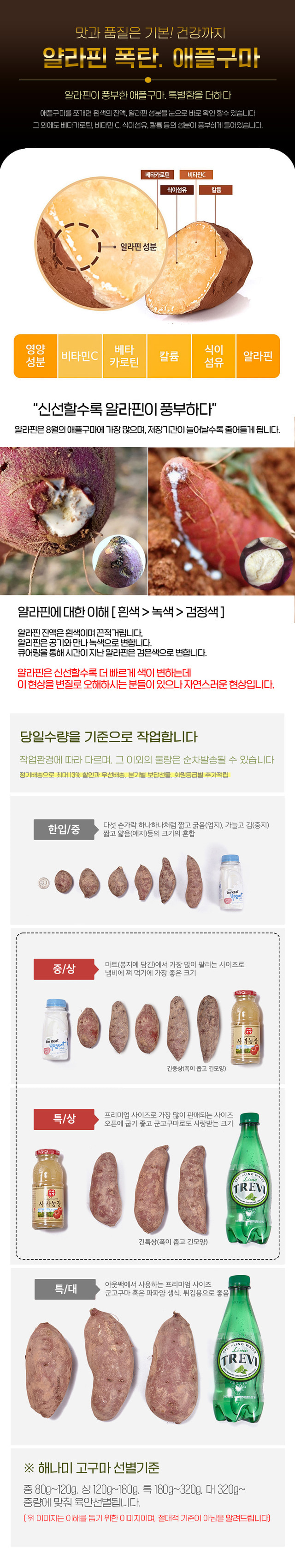 상품정보