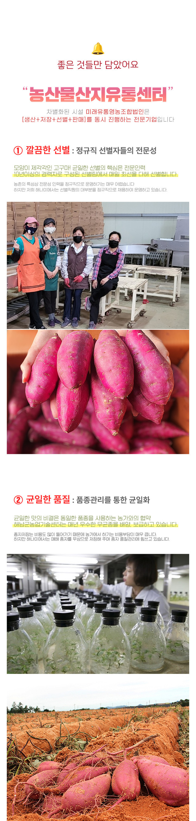상품정보