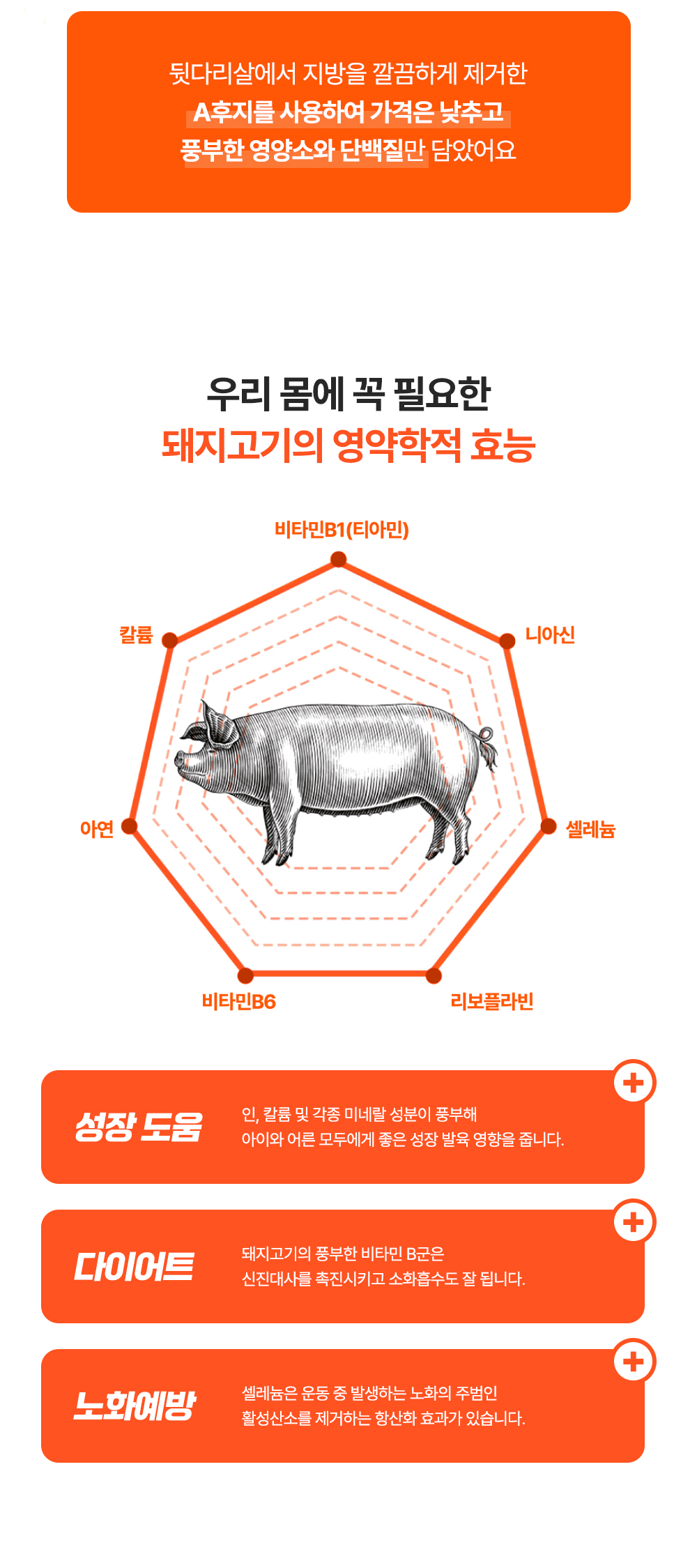 상품정보