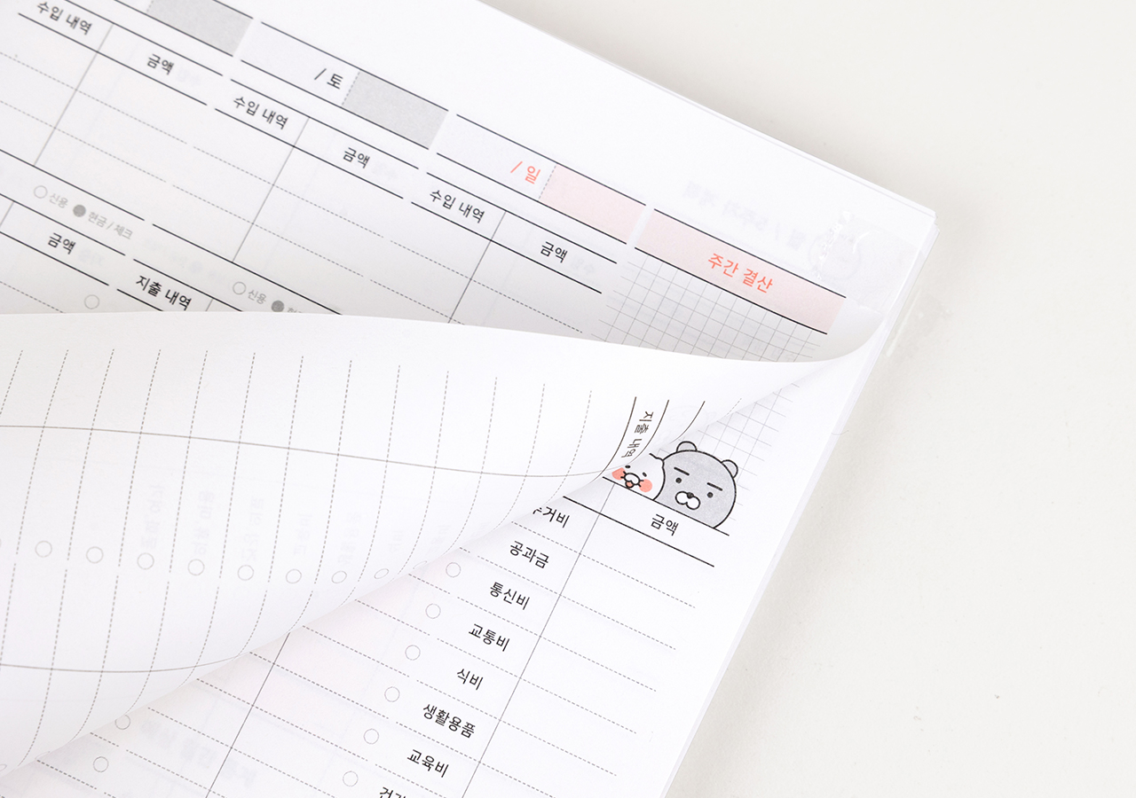 Kakao Friends Ryan Budget Book