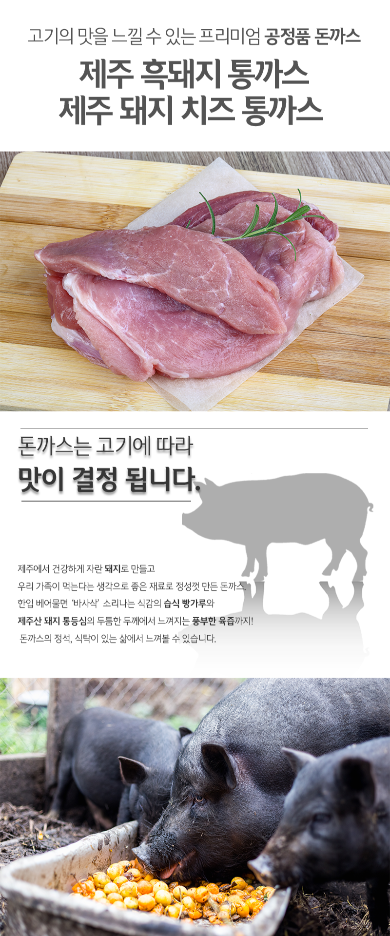 상품정보