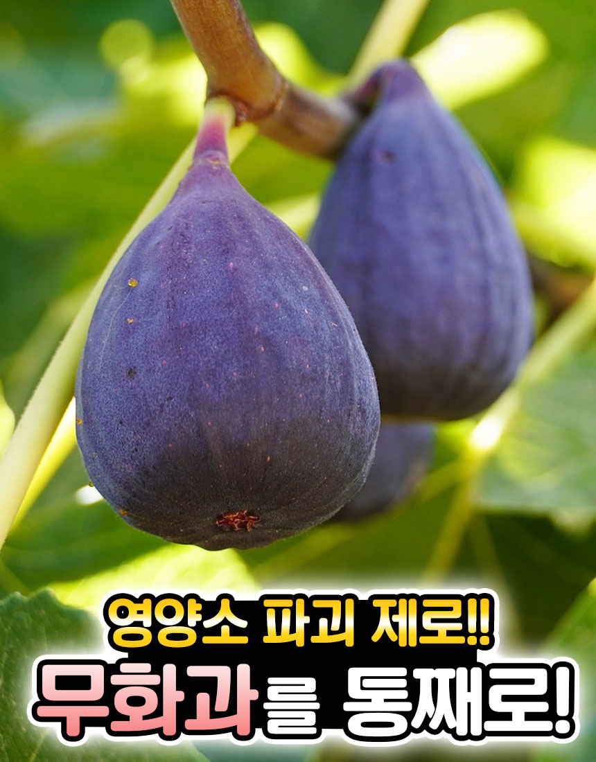 상품정보