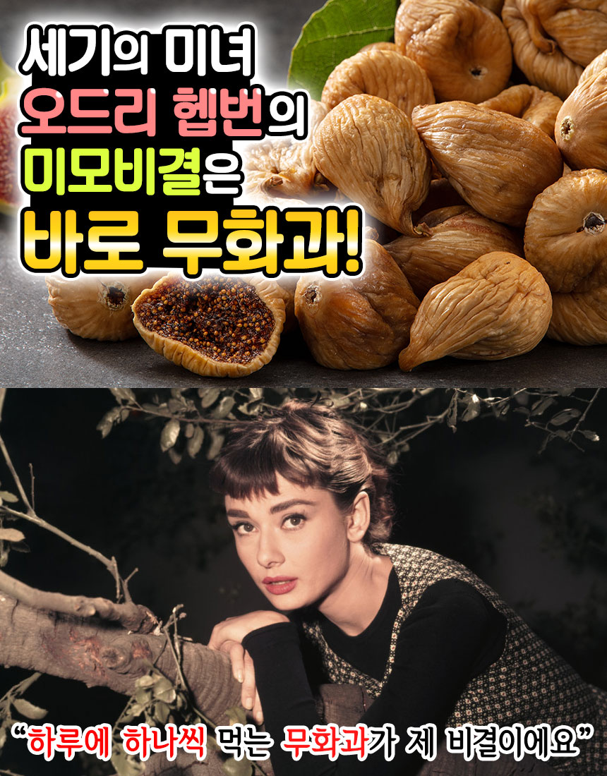 상품정보