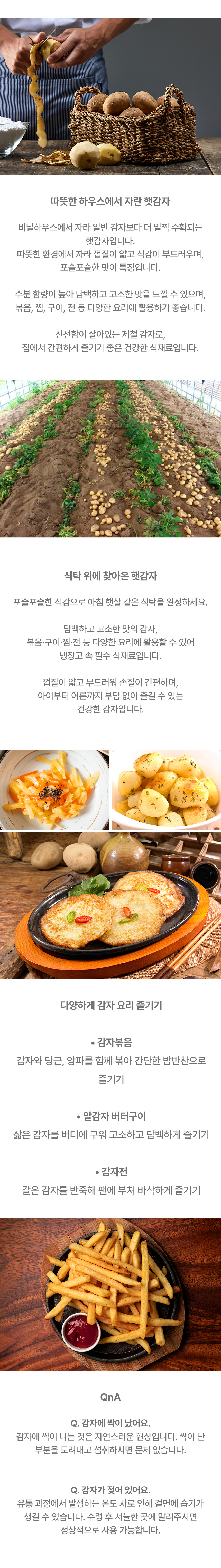 상품정보