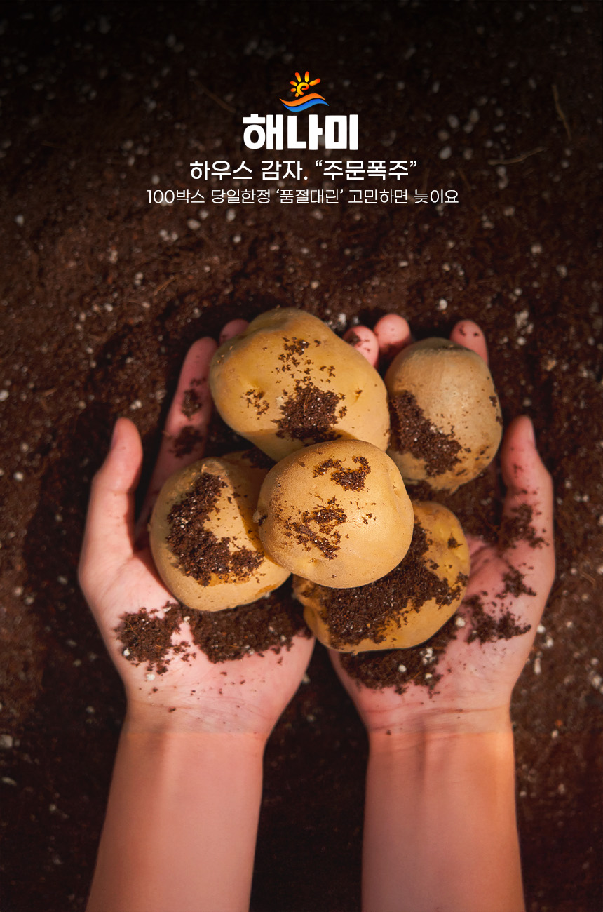 상품정보