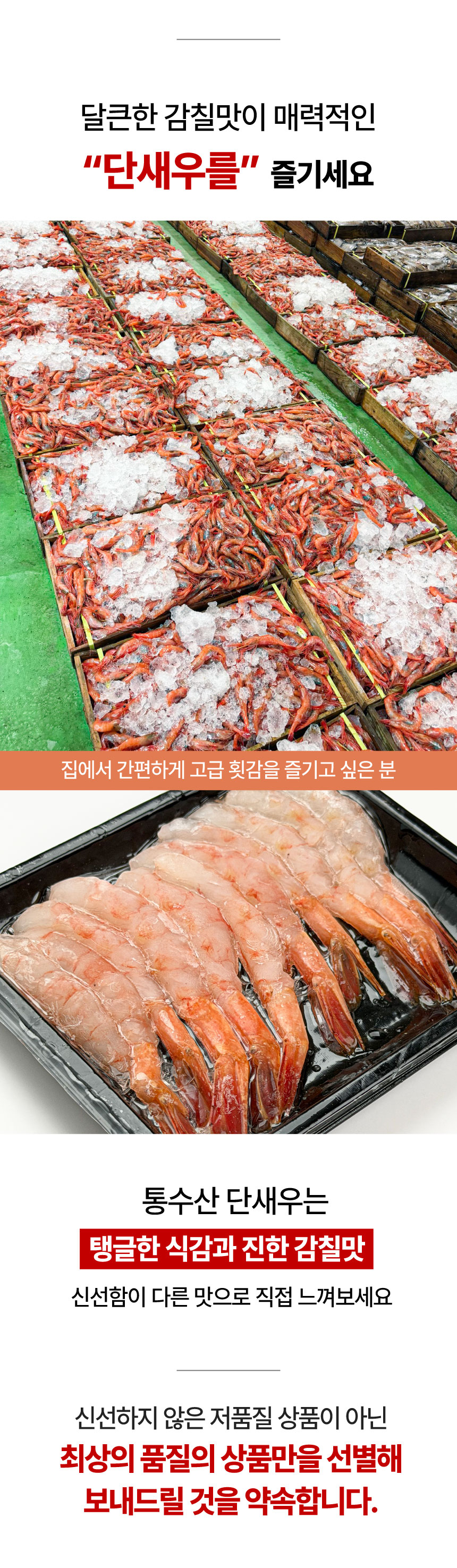 상품정보