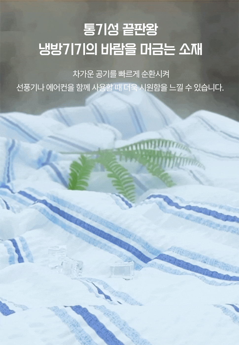 상품정보