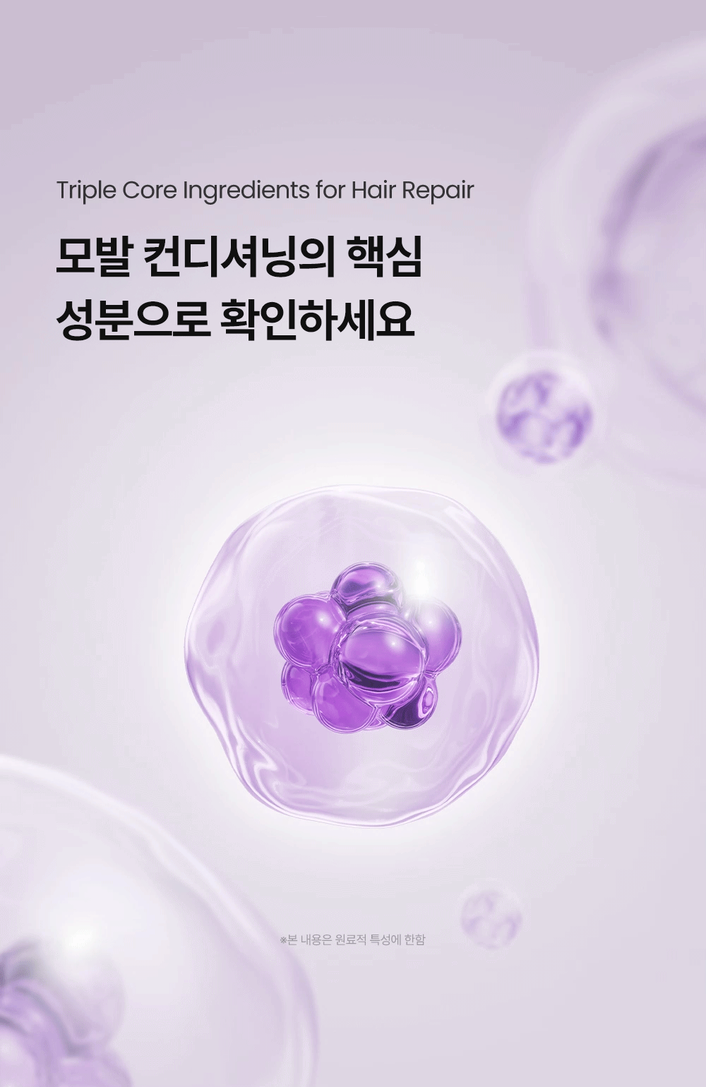 상품정보