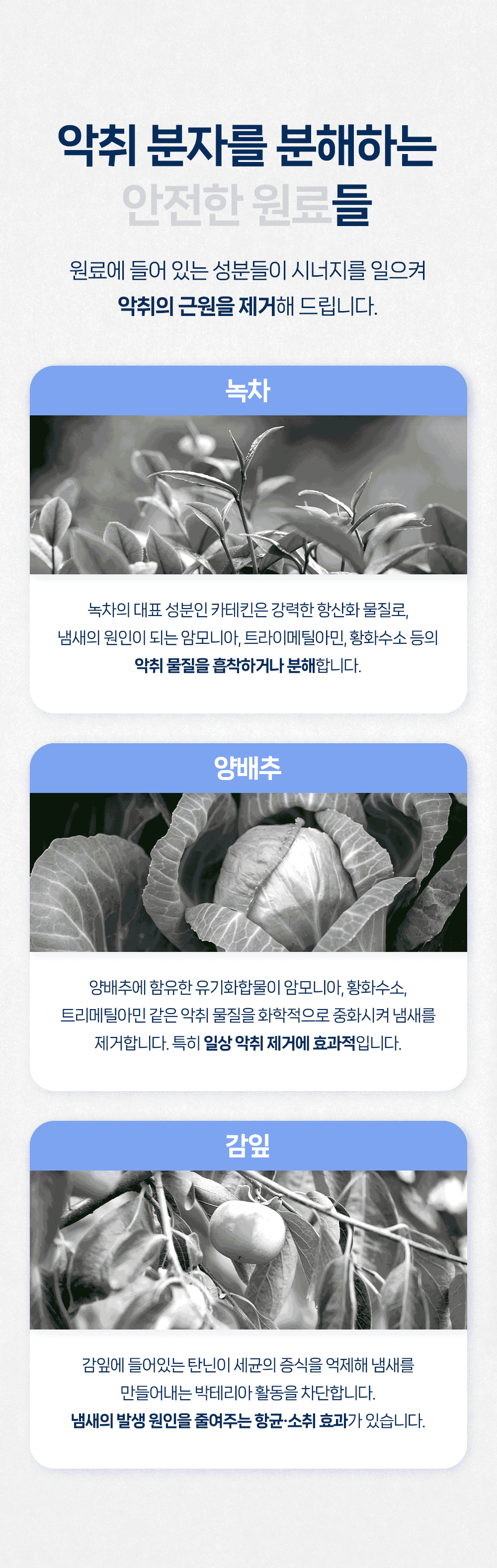 상품정보