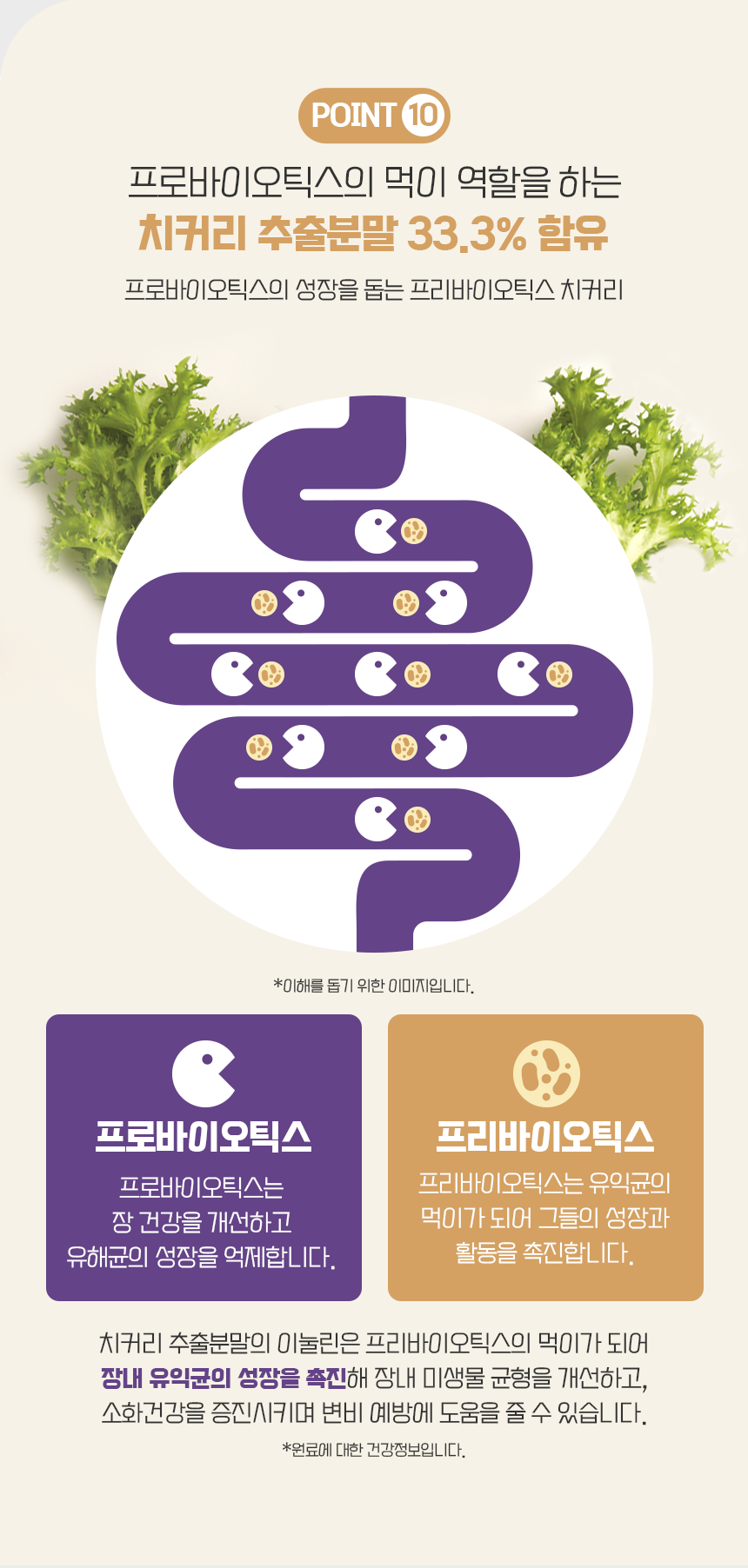 상품정보