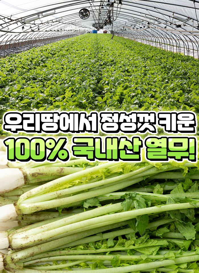 상품정보