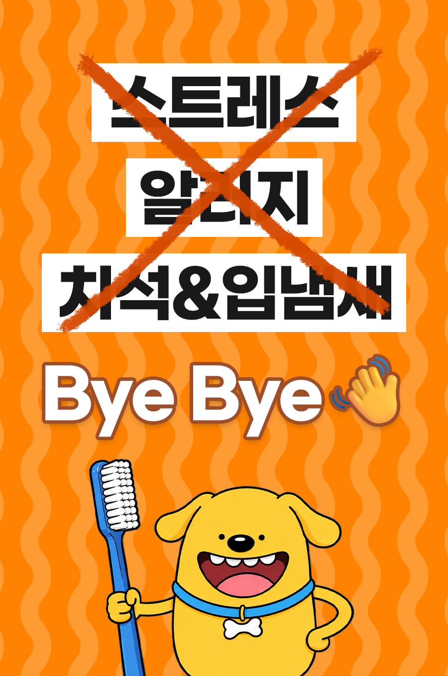 상품정보